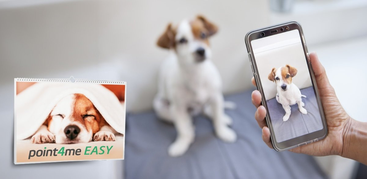 Kalendář s mazlíčky: Vytvořte si emotivní kroniku života vašeho zvířecího parťáka