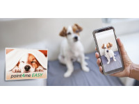 Jak vytvořit kalendář s mazlíčkem, který budete milovat